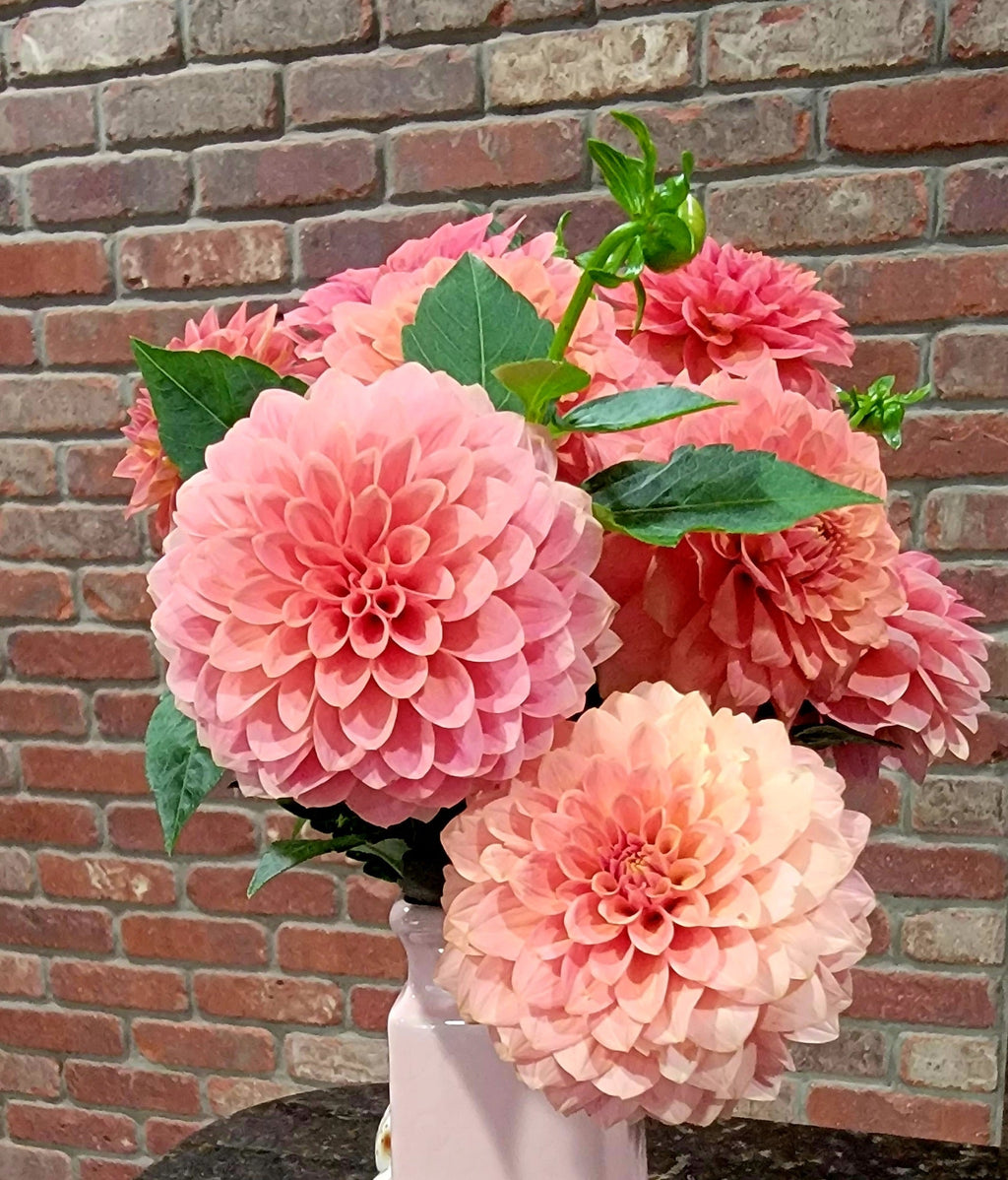 Peach Boho
